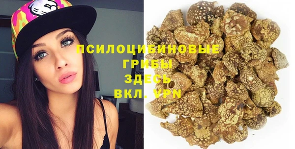 амф Алексин
