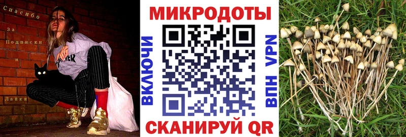 Галлюциногенные грибы Magic Shrooms  Сурск 